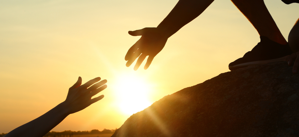 インプラント治療と入れ歯の違いとは?種類ごとの選び方を歯科医が徹底解説