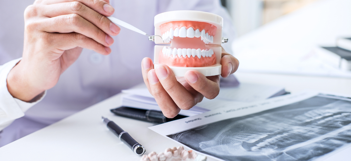 もう一度“しっかり噛める”毎日へ 再評価で見える新しい選択肢